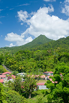 Champflore Martinique